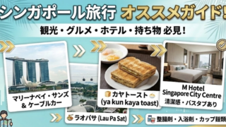 サムネイル_シンガポール旅行で良かったオススメガイド！